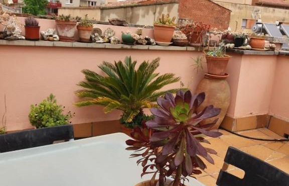 KASA EL PERTEGAZ in Olba