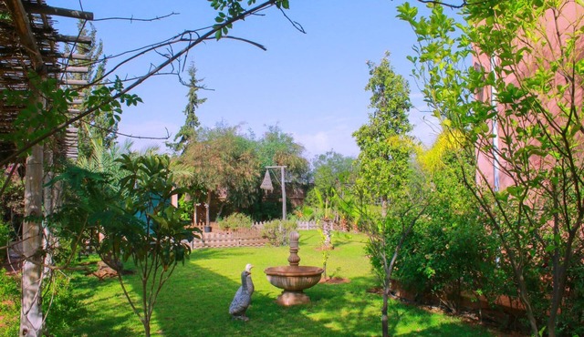 Magnificent house with a large swimming pool surrounded by olive trees and natu.