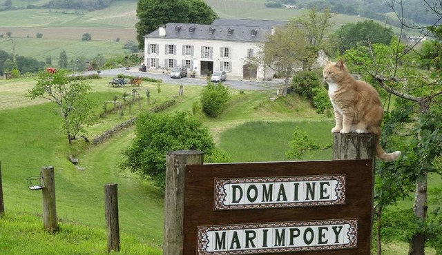 Maison d'hôtes Marimpoey in Monein