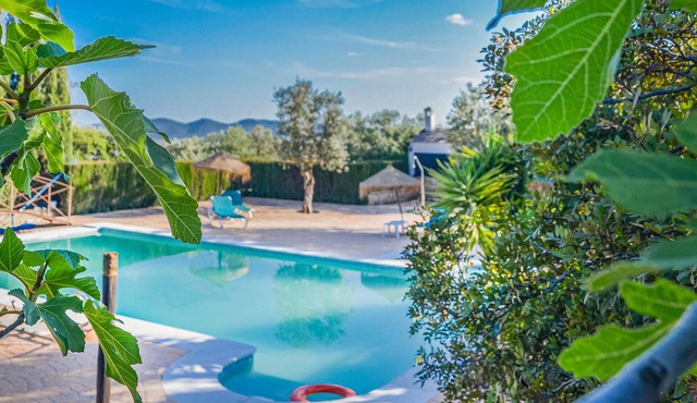 Nice home in Estepa with swimming pool in Estepa