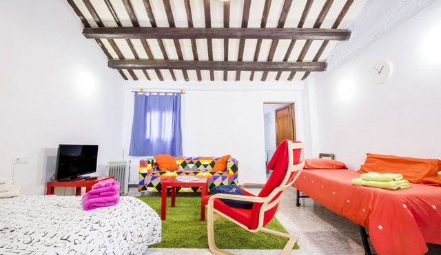 NICE LOFT WITH TERRAZZA IN THE HEART OF REUS in Reus
