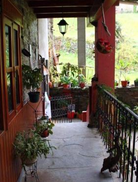 O Chaleciño in Samos