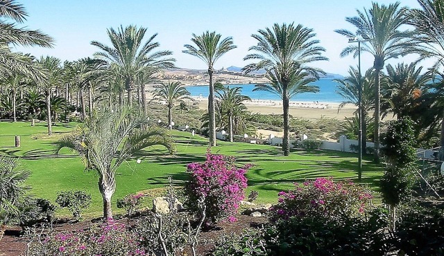 Penthouse/Apt. in the best area of Costa Calma, large terrace with sea views in Fuerteventura