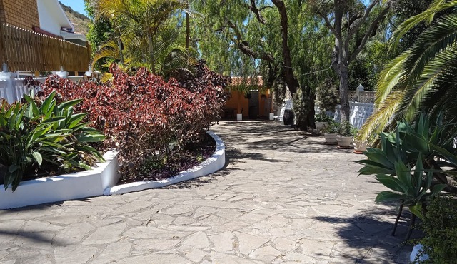 Quiet house with Garden, Porch and Paddle Court. in Tegueste