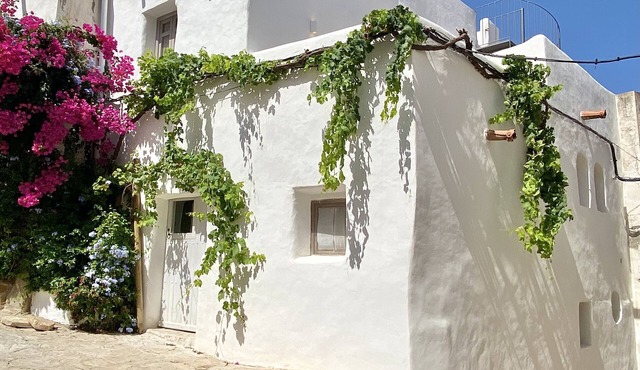 Renovated house in the historic center in Mojácar