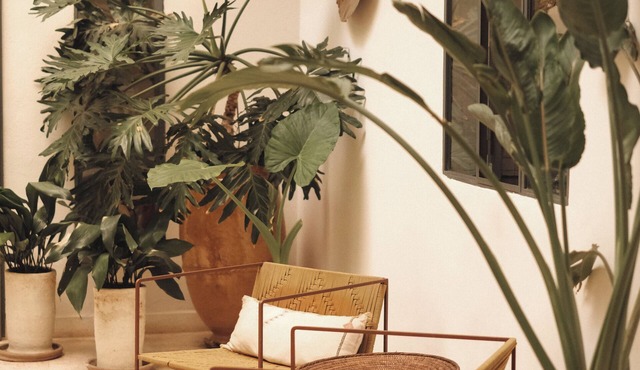 Riad le5 - Luxirious private Riad - All Inclusive