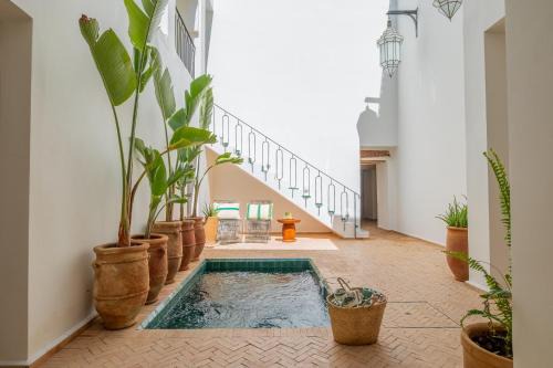 Riad Zahra Beldi
