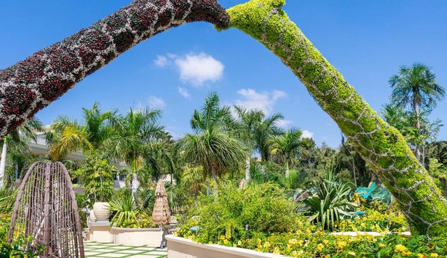 Royal River, Luxury Hotel - Adults Only in Adeje