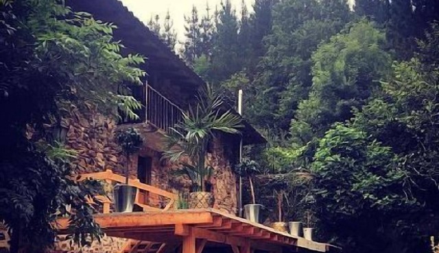 Rural apartment, special for families and pets, river and mountain views. in Zeberio