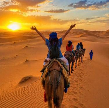 Sahara Desert Apartment with Camel Tours & Free WiFi