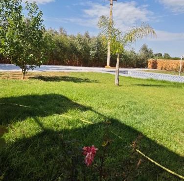 Villa jasmine piscine sans vis à vis, BERKANE in Aklim
