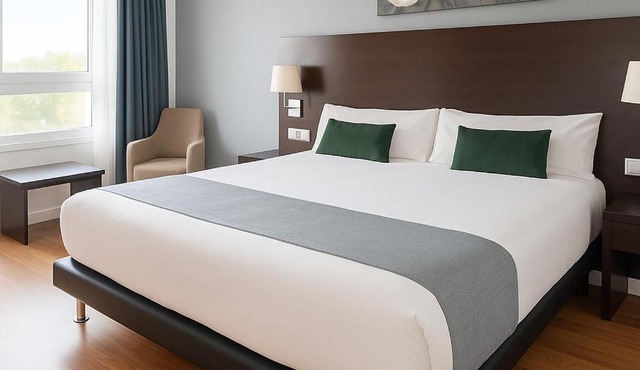 VTZ Hotel Plaza España in Zaragoza