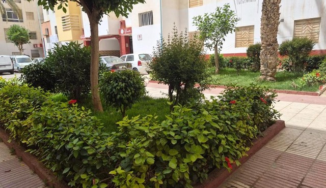 zzi home in Agadir