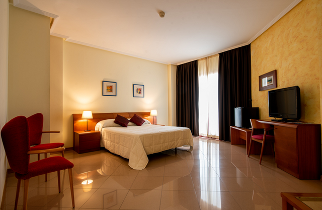 Hotel Playasol 