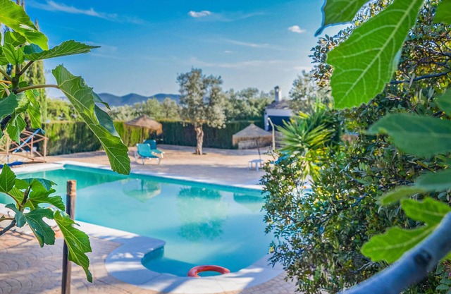 Accommodation Estepa 