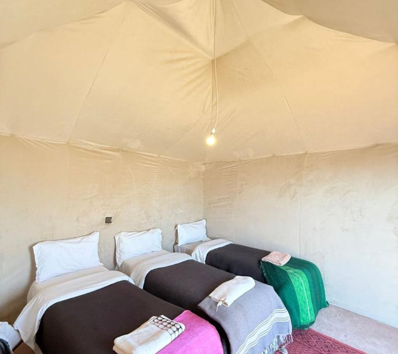 Hassilabied Bed & Breakfast | Camels House