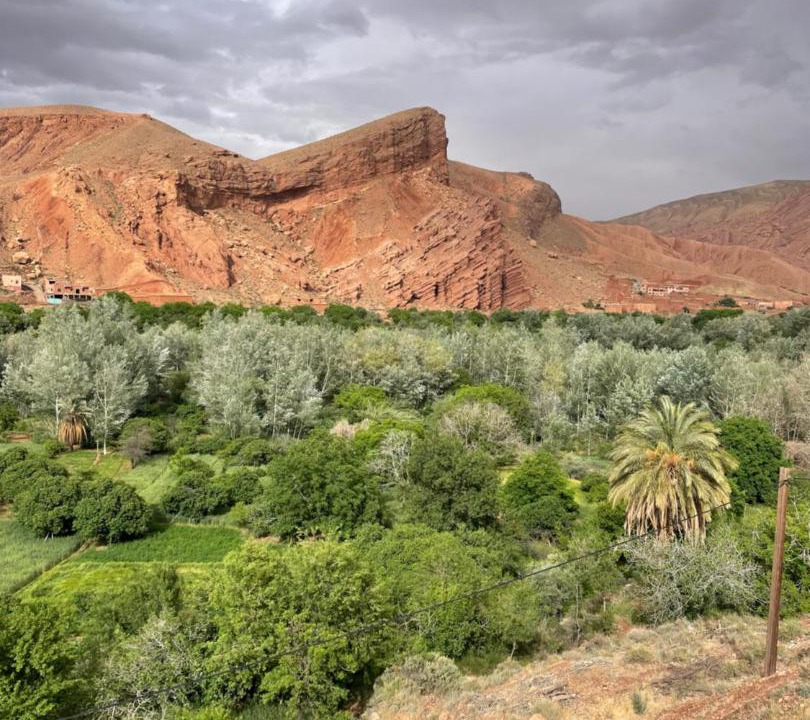 Ait Sedrate Jbel El Soufla Hotel | Maison D'hôte La Vallée Des Figues