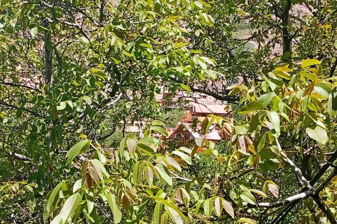Imlil Hotel | imlil