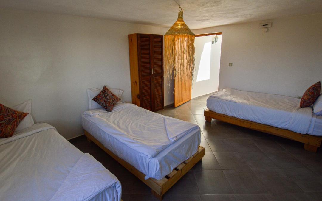 Taghazout House | Single fin taghazout surf & stay