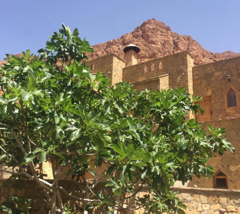 Toudgha El Oulia Hotel | Auberge Le Festival Todra Gorge