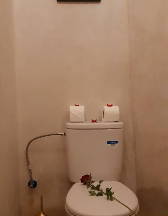 Photo of Bathroom in Medina