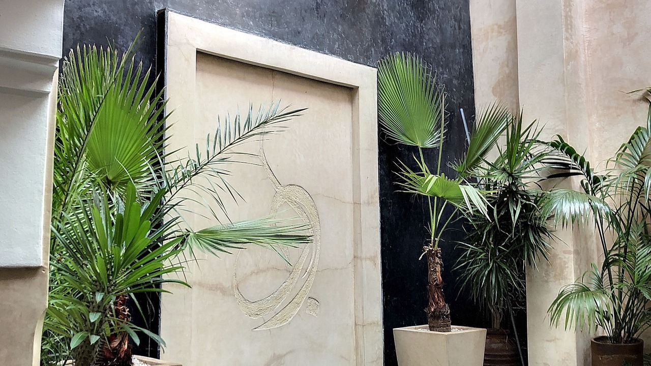 Photo of Outdoor in Riad Zitoun Jdid