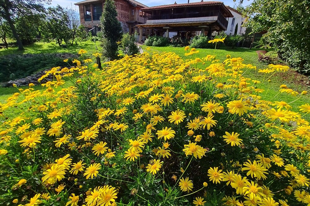 Photo of Outdoor in Salas