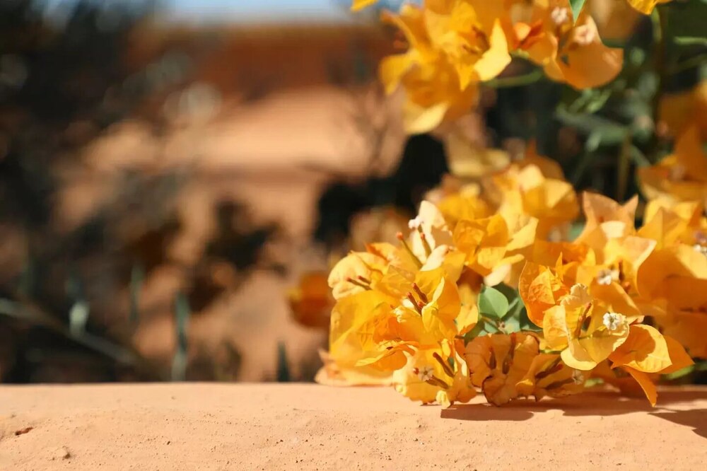 Photo of Others in Sidi Ben Slimane El Jazouli
