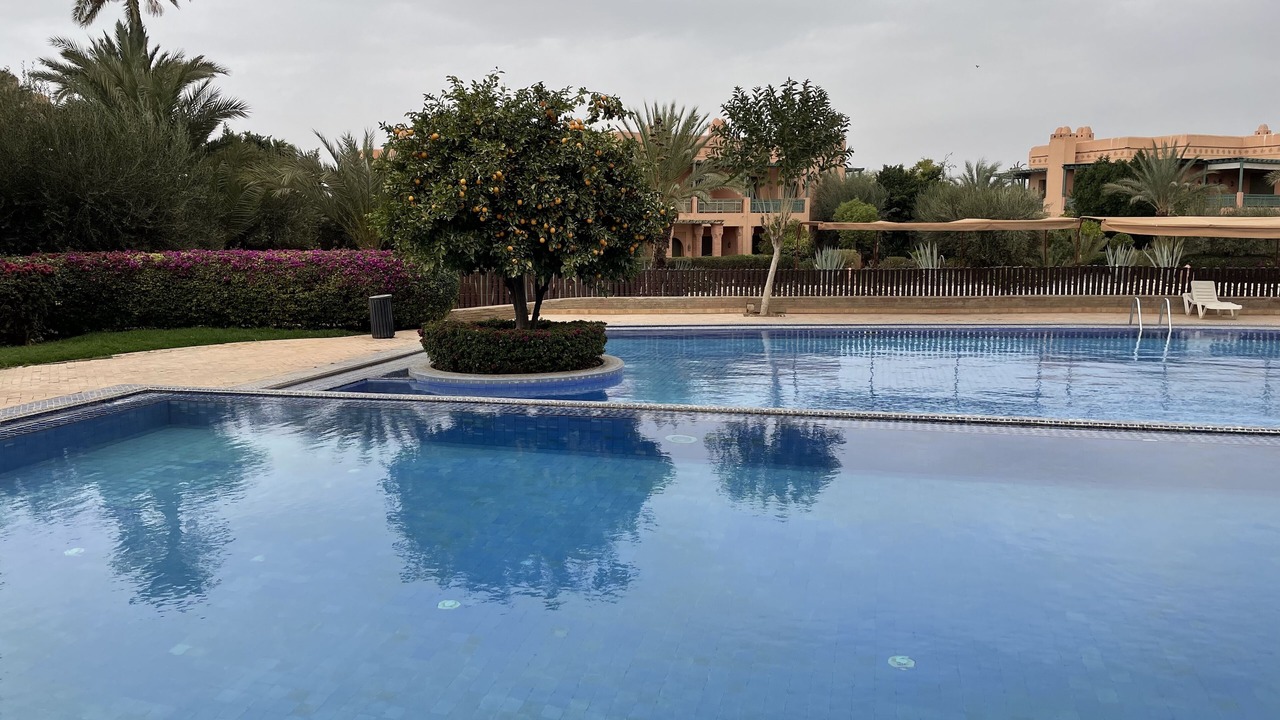 Photo of Outdoor in Palmeraie