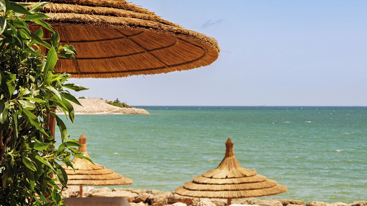 Photo of Others in Dakhla
