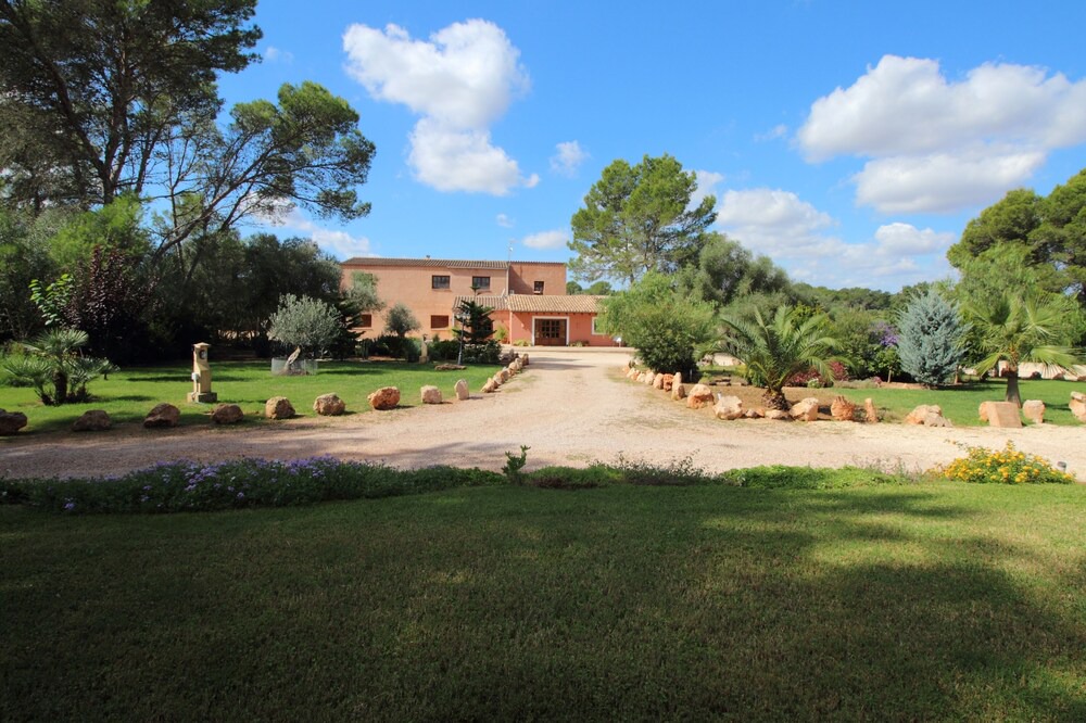Photo of Outdoor in Algaida