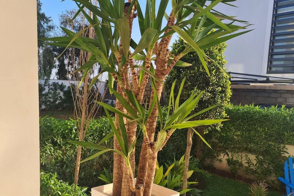 Photo of Outdoor in Tamariss