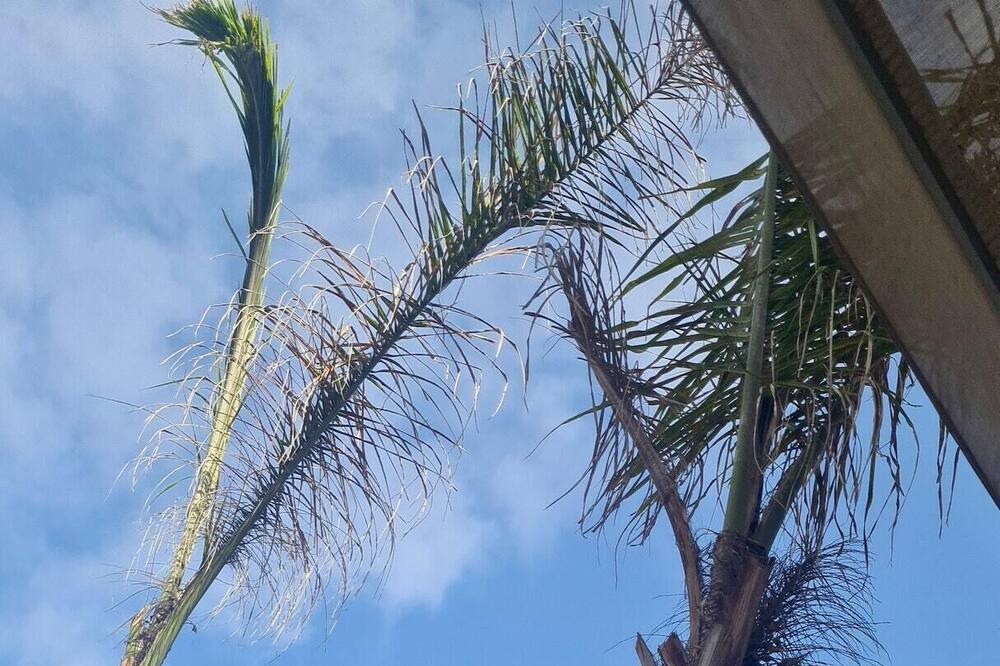 Photo of Outdoor in Tamariss