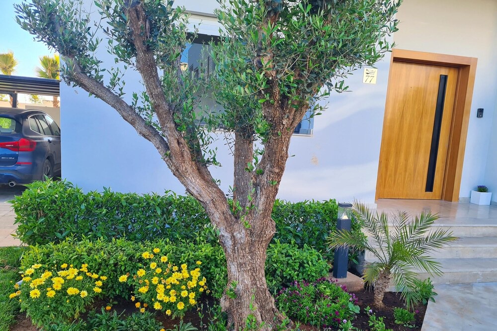 Photo of Outdoor in Tamariss