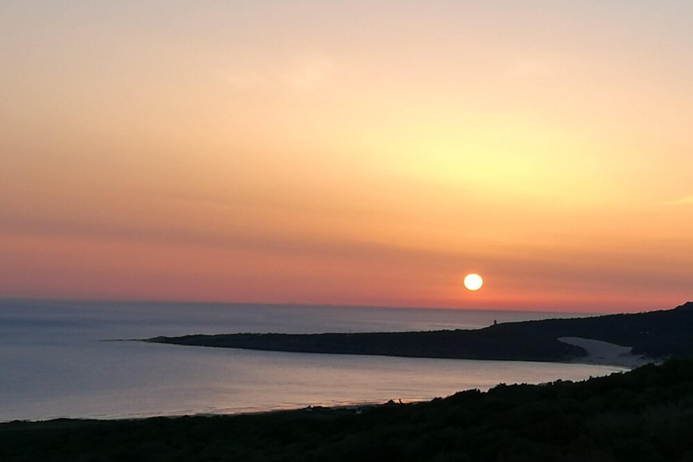 Photo of Others in Bolonia