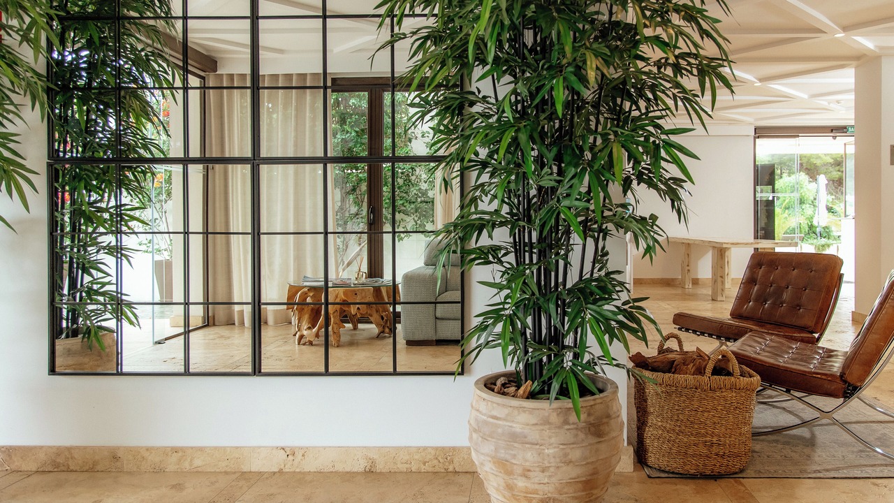Photo of Others in Marbella