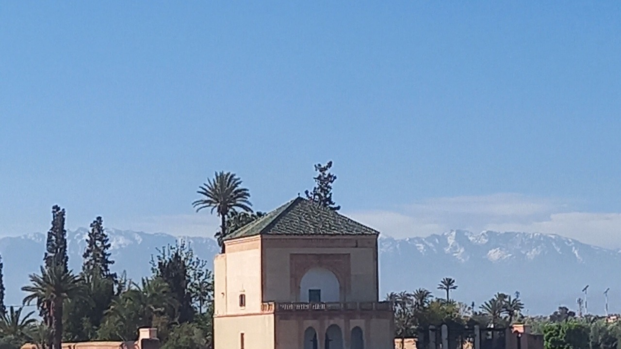 Photo of Others in Medina