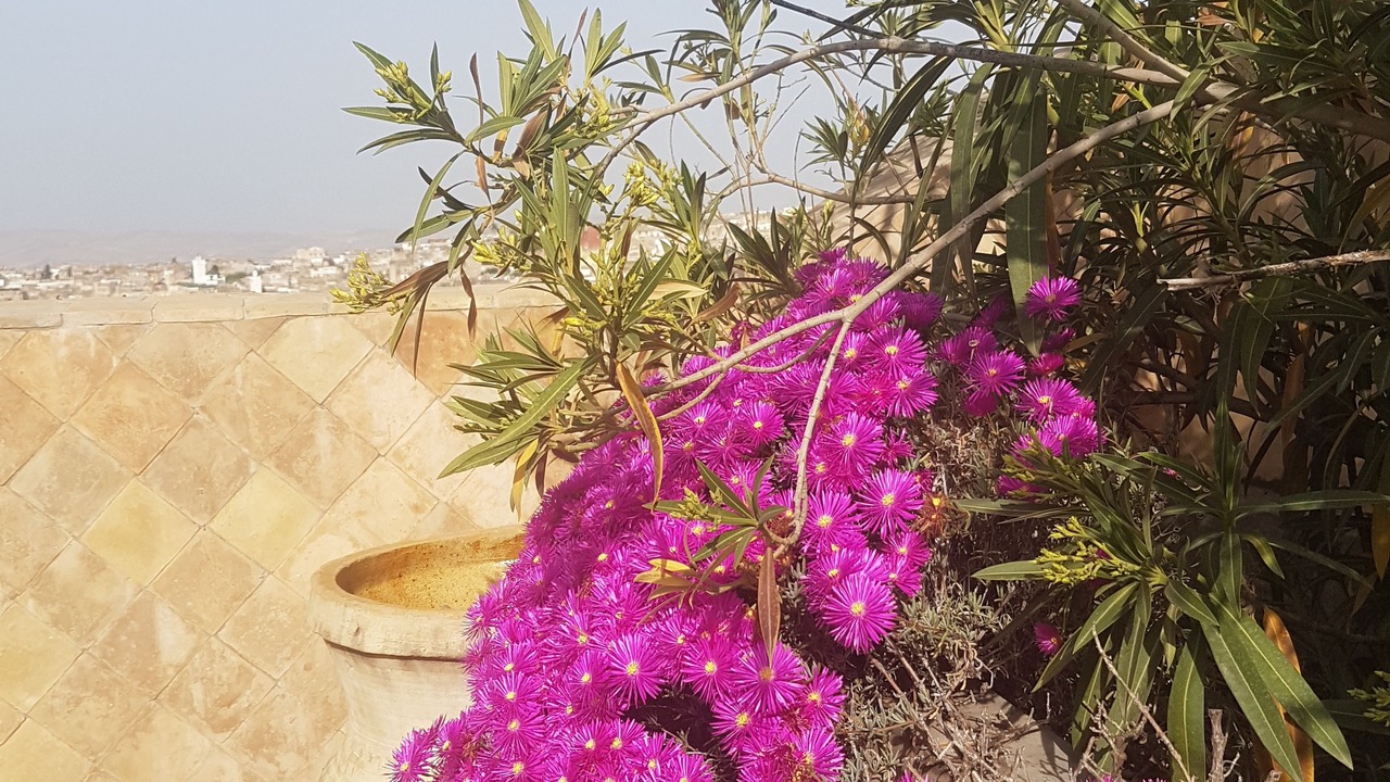 Photo of Patio Balcony in R'habet Zbib