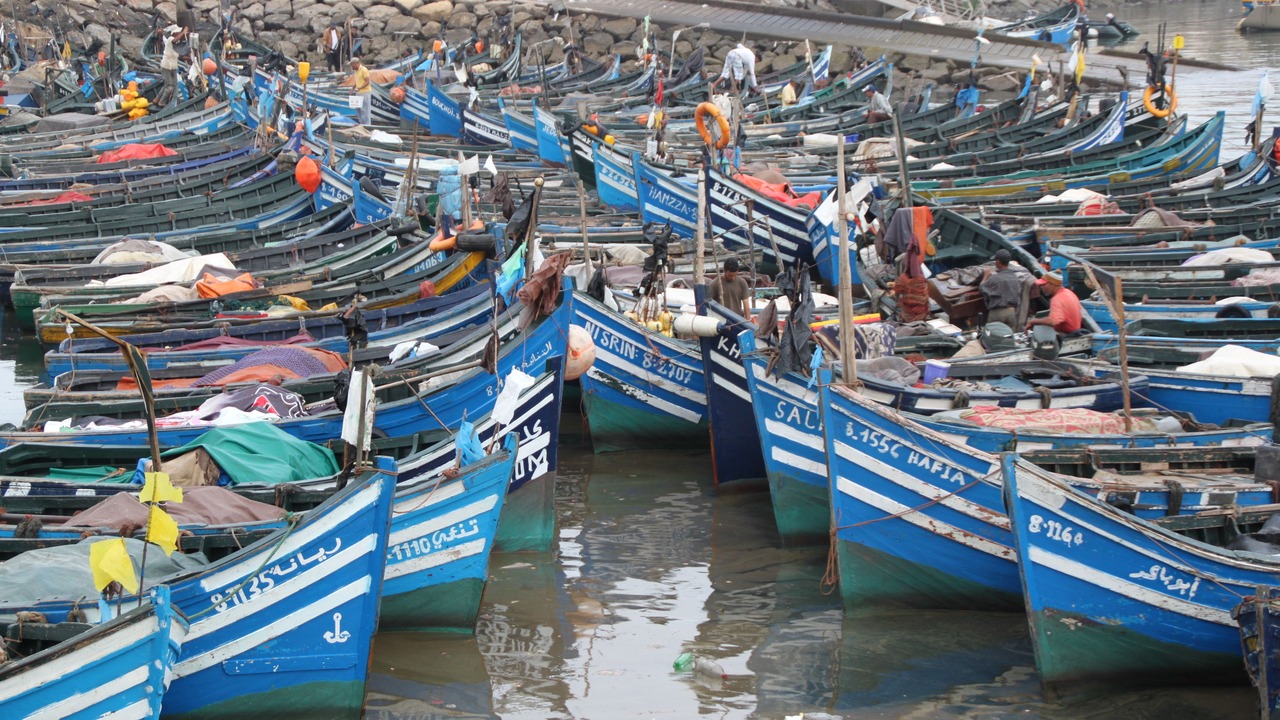 Photo of Others in Agadir