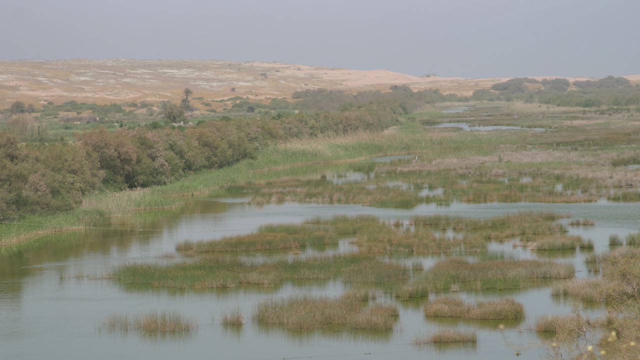 Photo of Others in Agadir