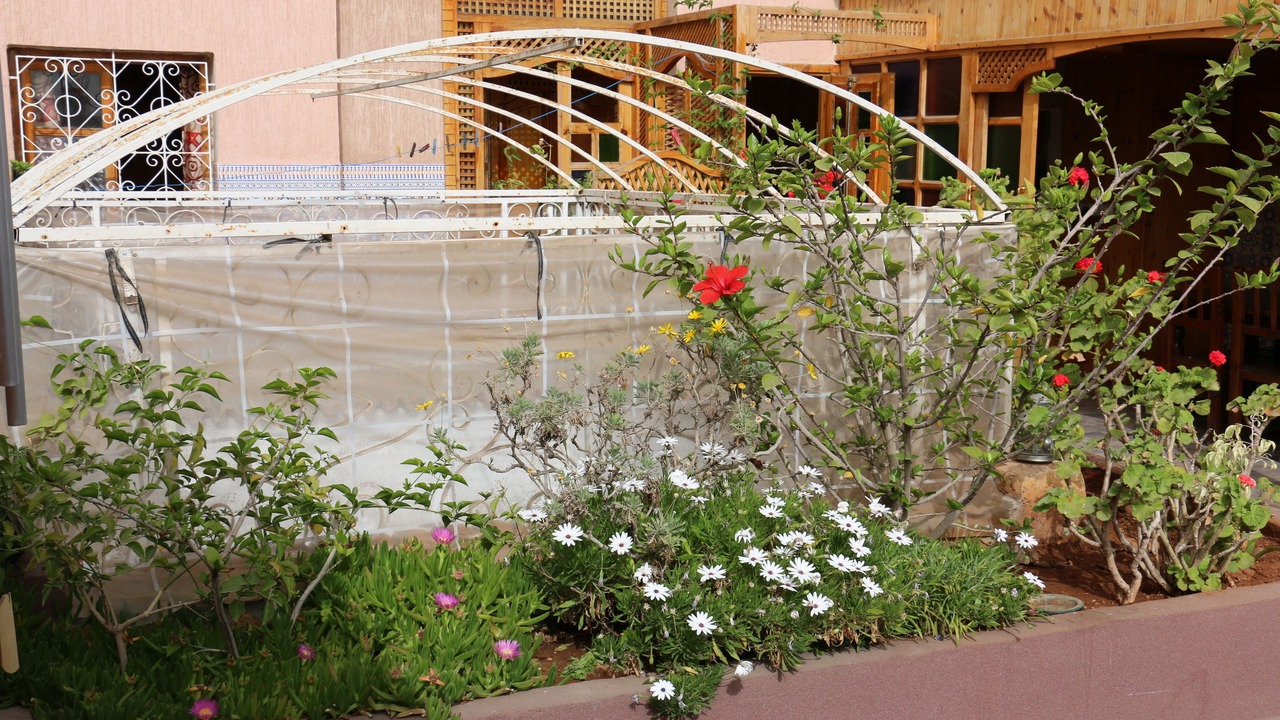 Photo of Others in Agadir