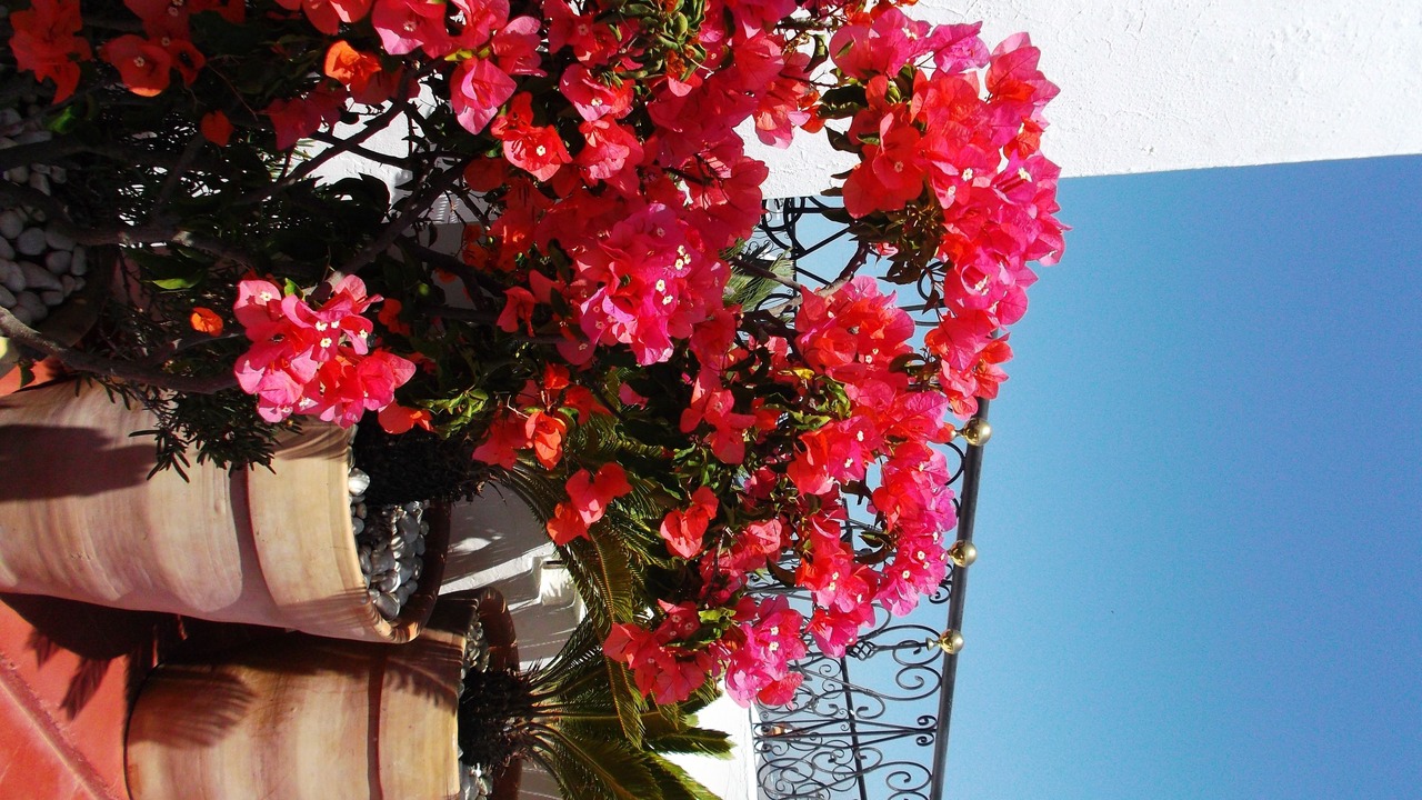Photo of Patio Balcony in Medina of Tangier