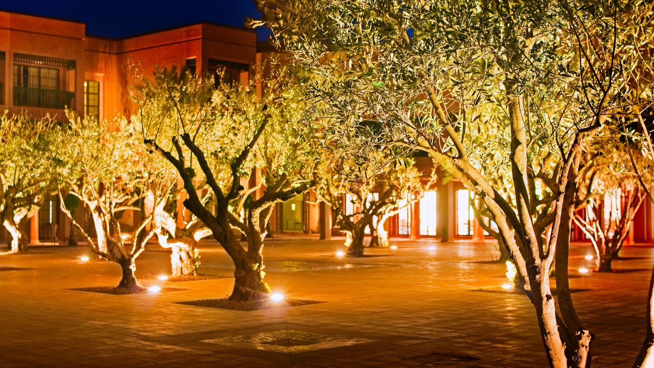 Photo of Outdoor in Palmeraie