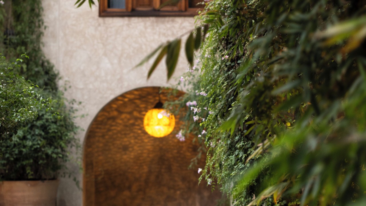 Photo of Outdoor in Medina