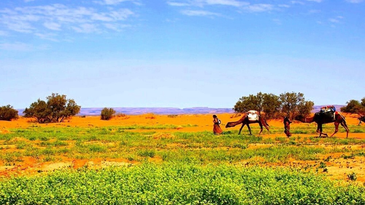 Photo of Outdoor in M'Hamid El Ghizlane