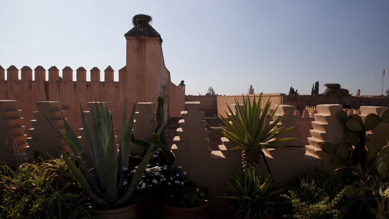 Photo of Outdoor in Mellah
