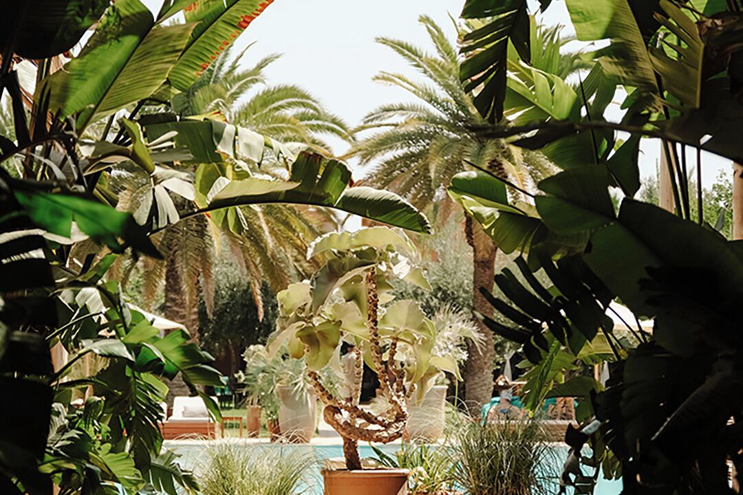 Photo of Outdoor in Annakhil