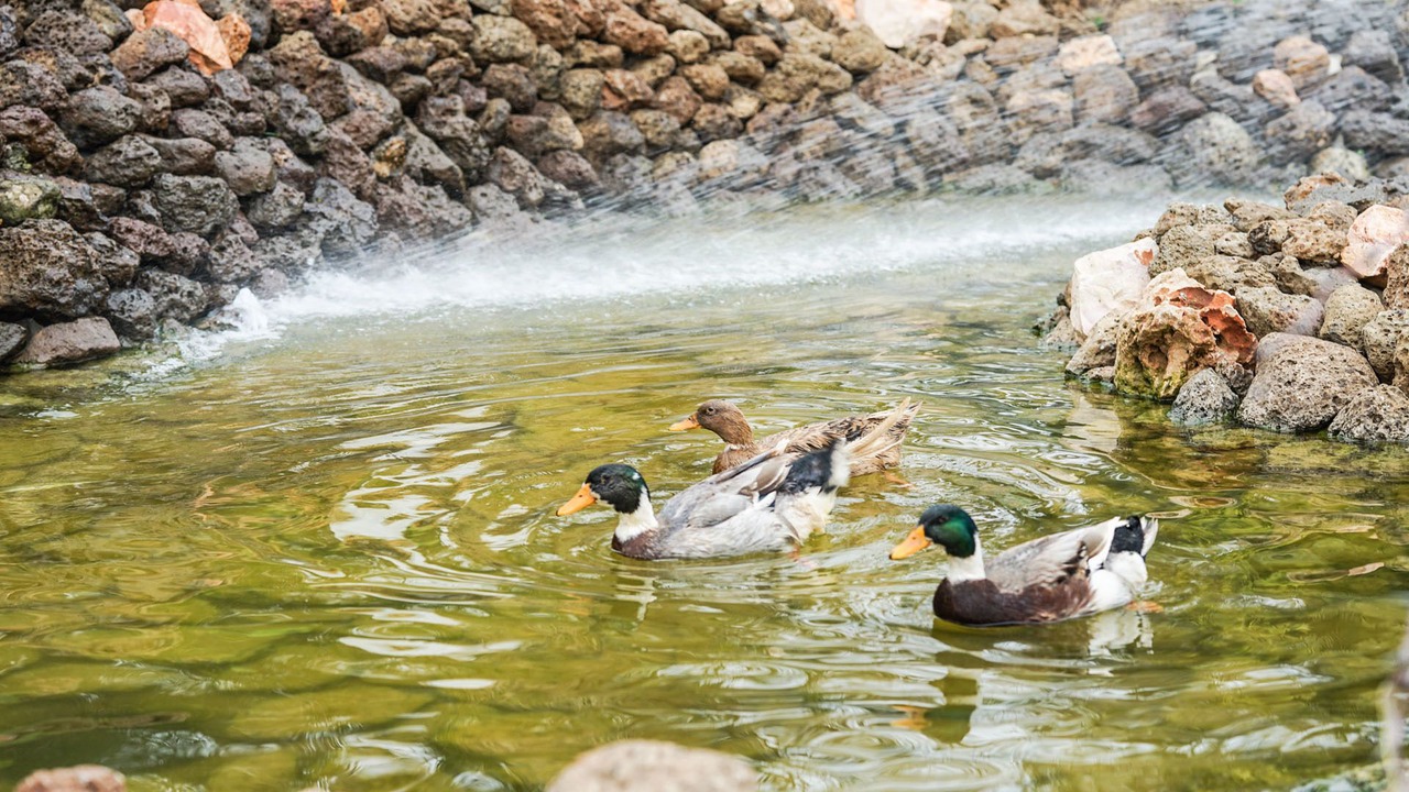 Photo of Others in Zekkak Er Roumane