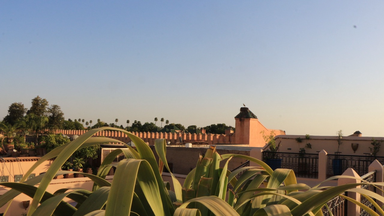Photo of Outdoor in Mellah