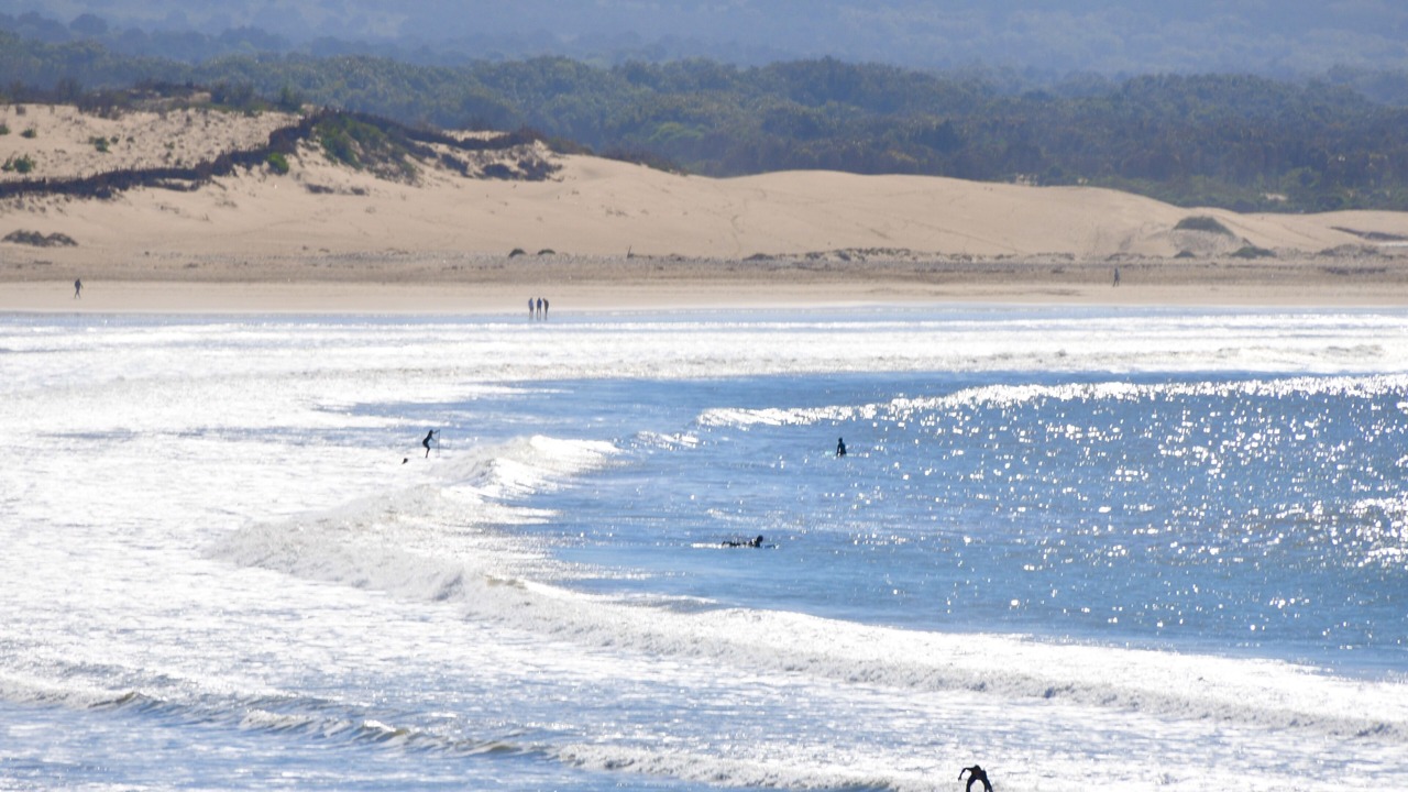 Photo of Others in Essaouira Coast